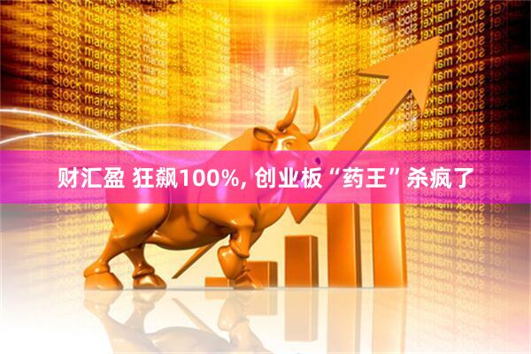 财汇盈 狂飙100%, 创业板“药王”杀疯了