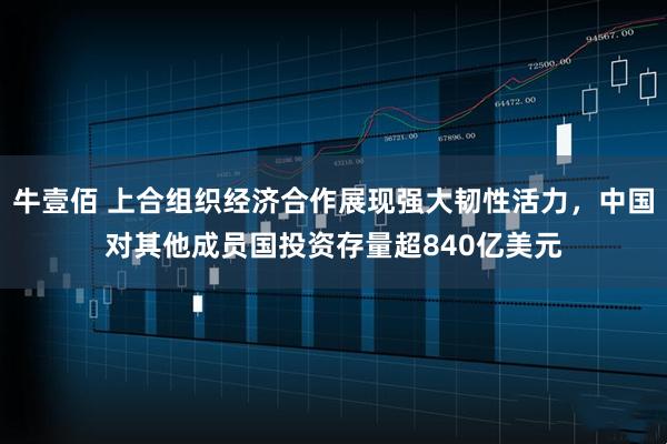 牛壹佰 上合组织经济合作展现强大韧性活力，中国对其他成员国投资存量超840亿美元
