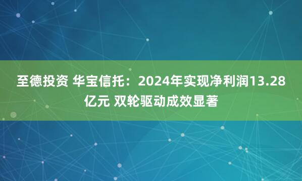 至德投资 华宝信托：2024年实现净利润13.28亿元 双轮驱动成效显著